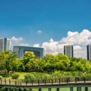 The Skeleton of Construction - Understanding India's Scaffolding Industry - Sidhika Chopra, Business Development Manager, Feedback Advisory